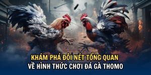 Đá gà thomo